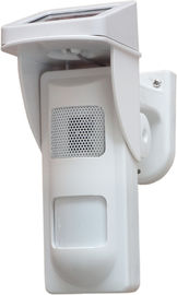 Năng lượng mặt trời ngoài trời ngay Alarm Detector Với âm thanh và cảnh báo nhẹ