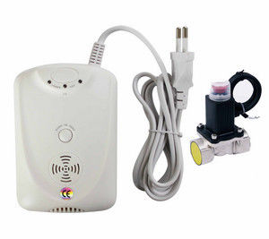 EN50291 Carbon Monoxide Co Alarm Detector Với Tự kiểm tra nút