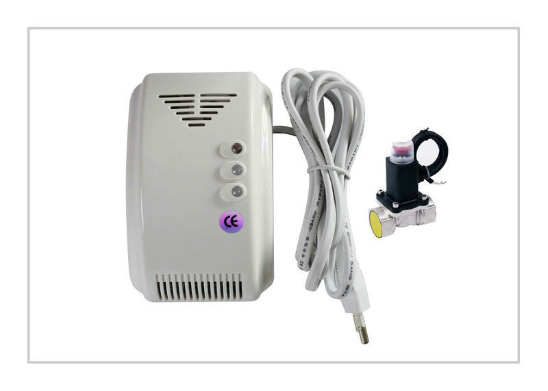 90 - 240VAC Carbon Monoxide Và Gas Detector / Portable Gas Detector LYD-706DV CE